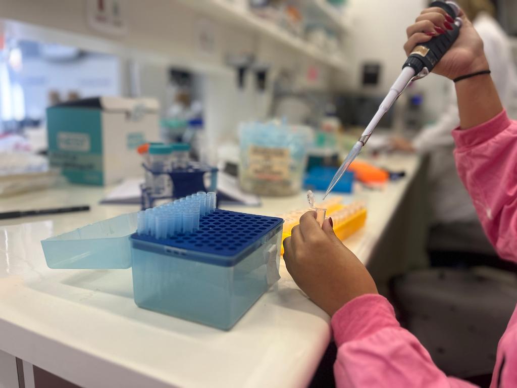 Trabalhando no LaBS (Laboratório de Biologia Sintética) da Unicamp
