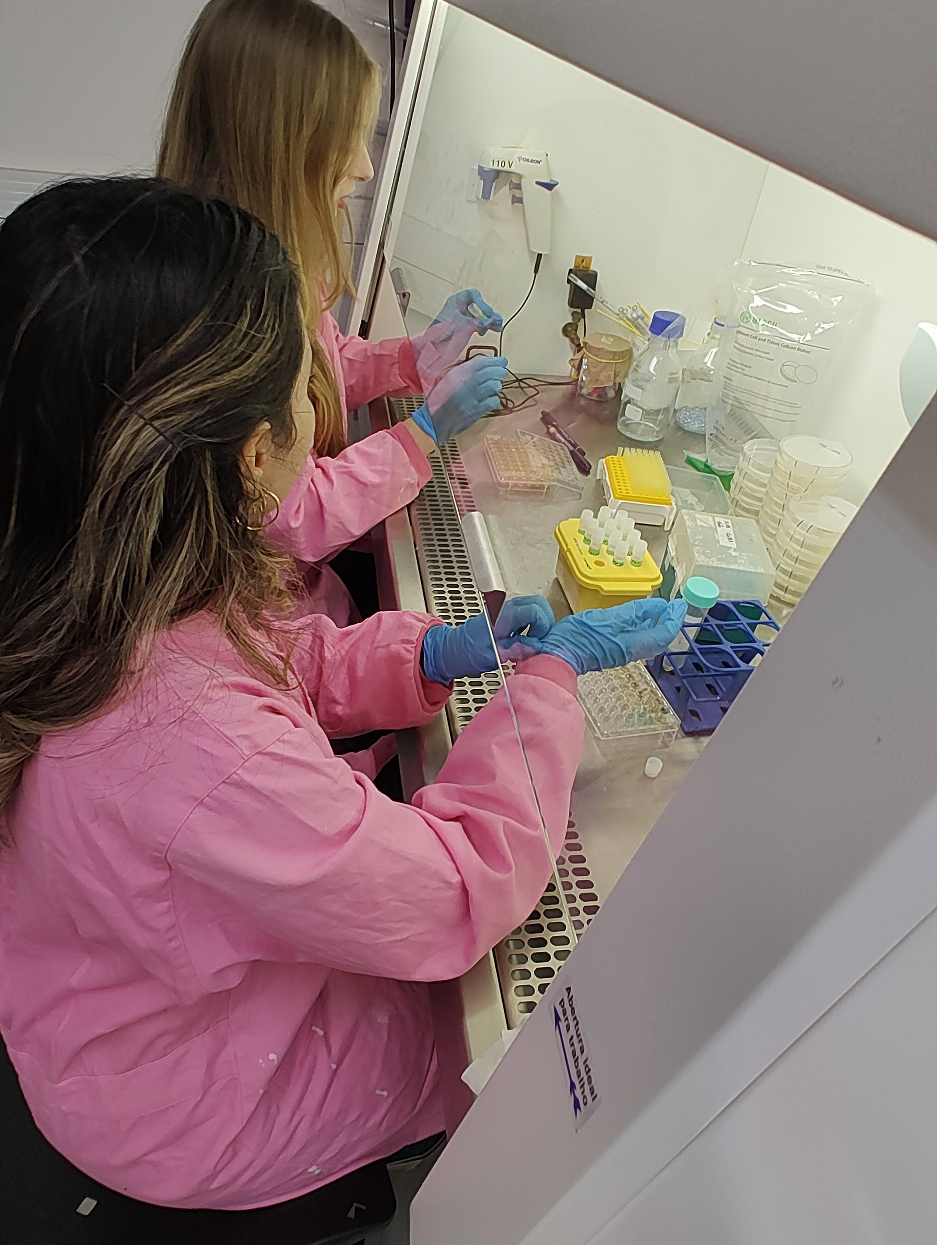 Katherine Bilsland Marchesan e Luiza Rodrigues de Souza no LaBS (Laboratório de Biologia Sintética) da Unicamp